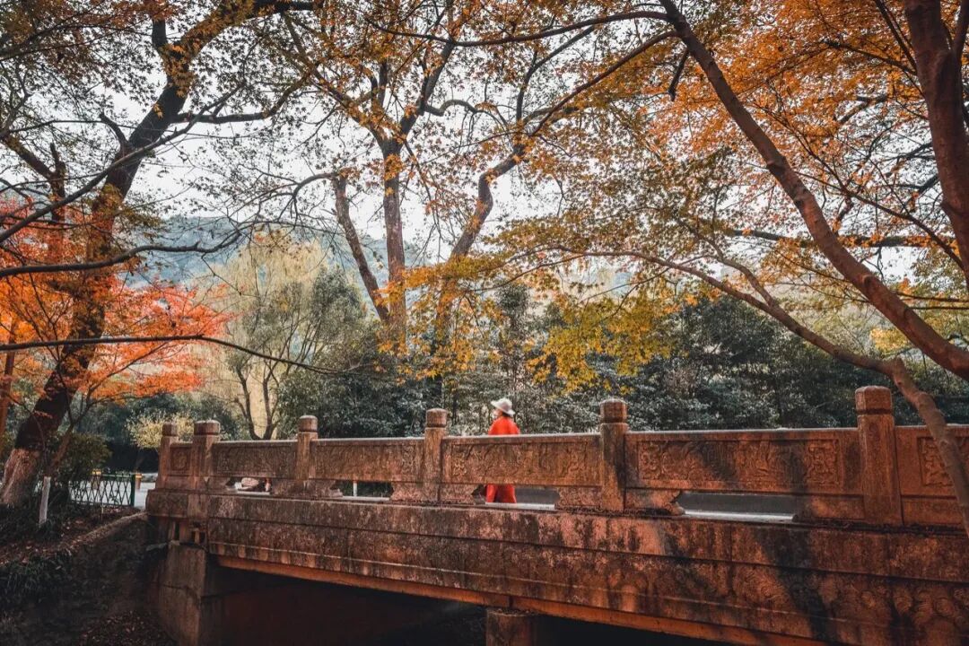 �����ѡ�����ڿ��ã������Լ۱ȳ����������ˣ�