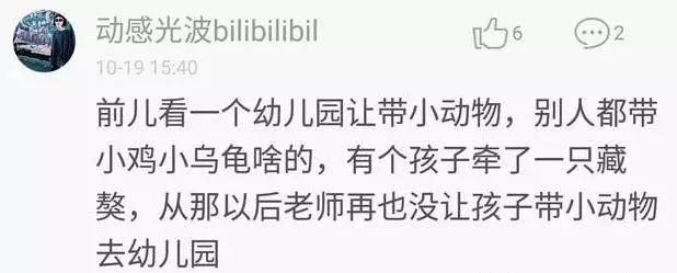 醉了!老师让做纸房子,家长直接杀去寿衣店,买了栋纸别墅