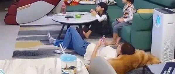 这个天然软靠垫看着就很舒服，网友超羡慕：还自带加热功能，暖呼呼的！