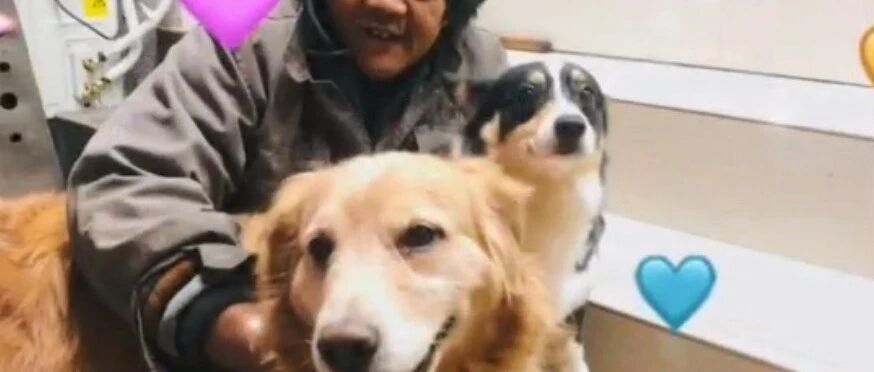 流浪汉生活艰难但却依然把仅有的食物喂给狗狗，画面太温馨了！