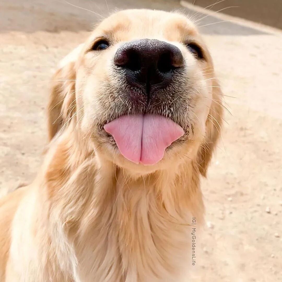 慎点！这是一条带口水的推送…