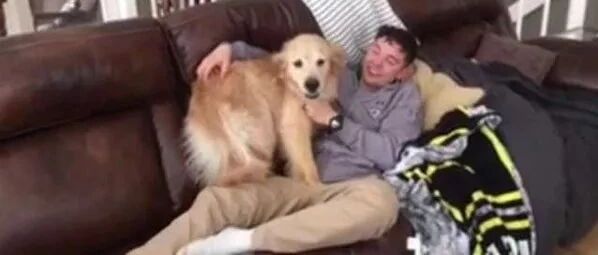 半年没见主人，金毛一头扎进他怀里：你怎么才回来！