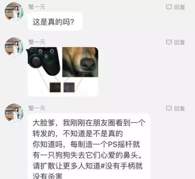 據說每吃一隻炸雞腿，就有一隻金毛失去後腿…… 寵物 第9張