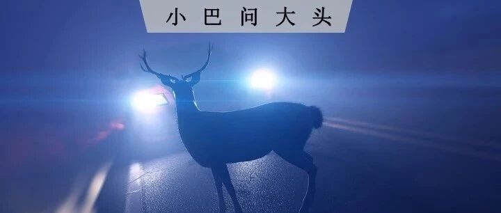 春运之战：滴滴失其鹿，天下共逐之