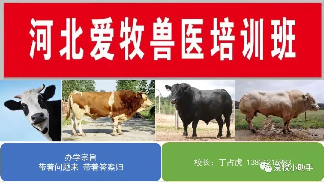 手术工具怎么消毒外科基本手术_https://www.jmylbn.com_新闻资讯_第34张