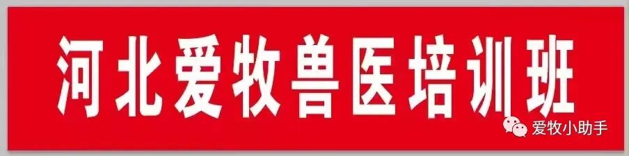手术工具怎么消毒外科基本手术_https://www.jmylbn.com_新闻资讯_第1张