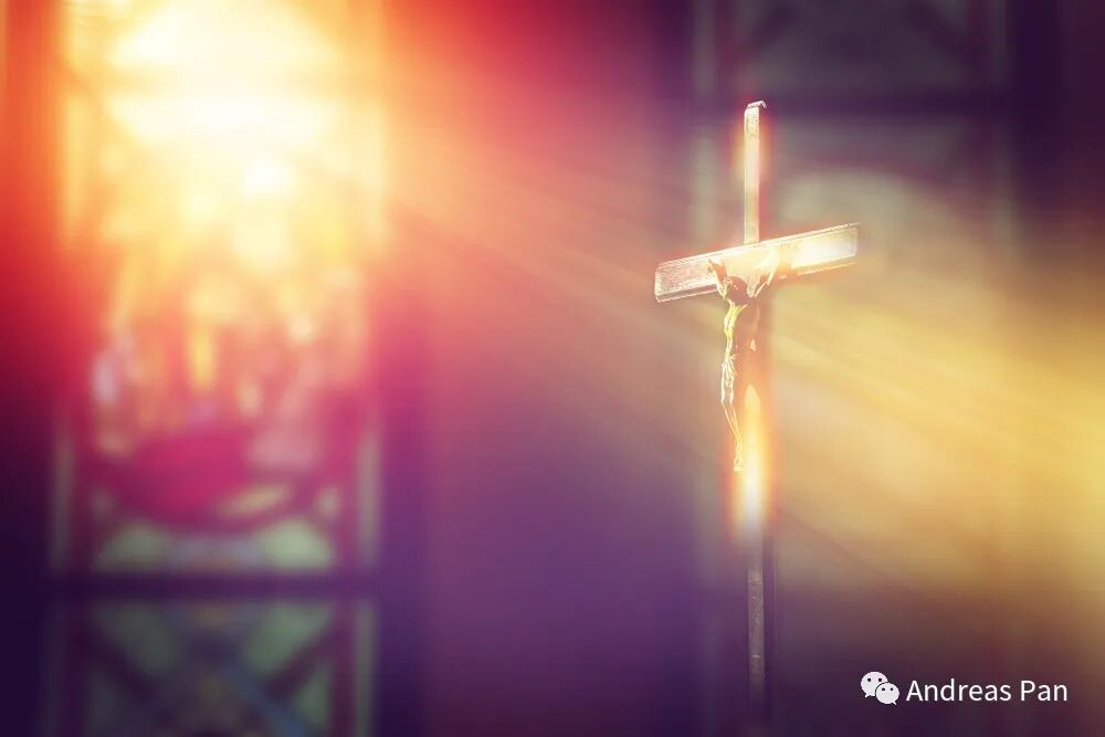 640?wx_fmt=jpeg&tp=webp&wxfrom=5&wx_lazy=1&wx_co=1