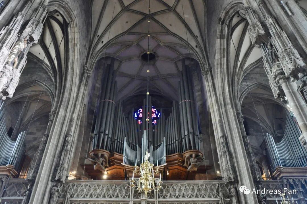 640?wx_fmt=jpeg&tp=webp&wxfrom=5&wx_lazy=1&wx_co=1