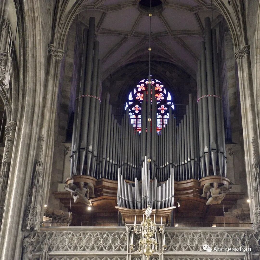 640?wx_fmt=jpeg&tp=webp&wxfrom=5&wx_lazy=1&wx_co=1