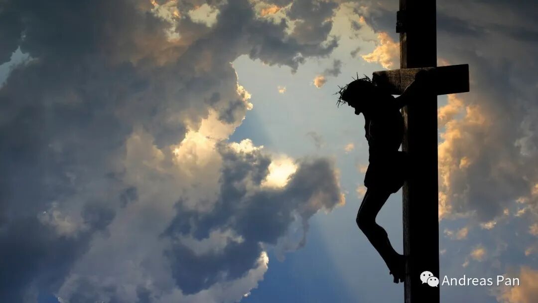 640?wx_fmt=jpeg&tp=webp&wxfrom=5&wx_lazy=1&wx_co=1