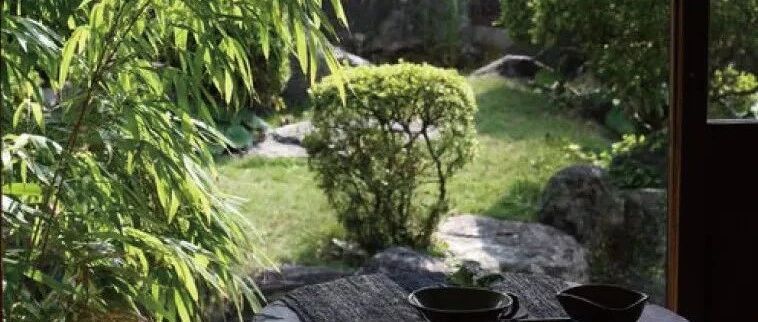 世界上超小的庭院！