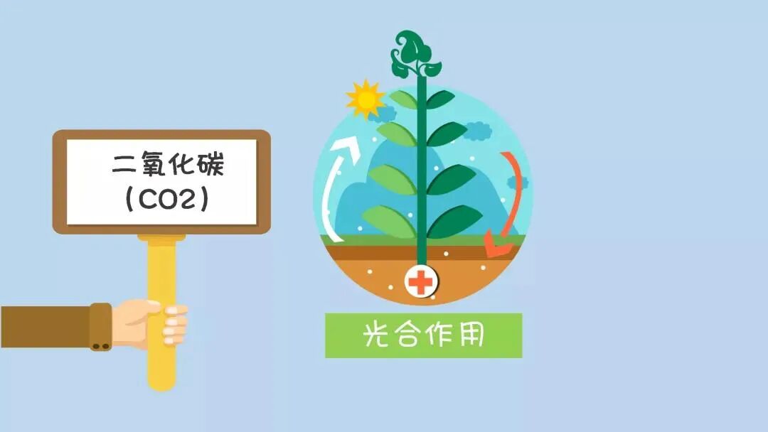 有甲乙两种无色气体_子宫有气体放屁一样_温室气体有哪些