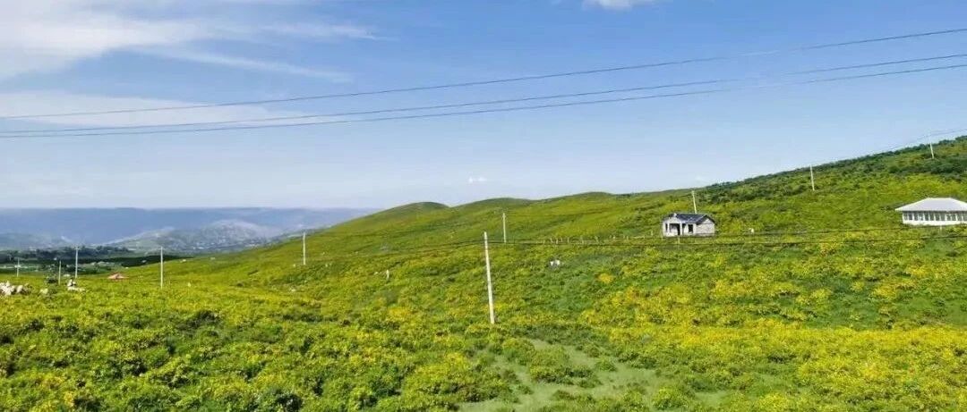 谁能真正认清自己