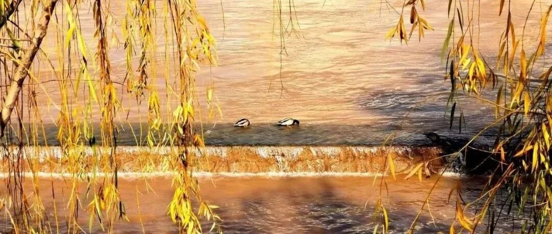 完美地通过了考验