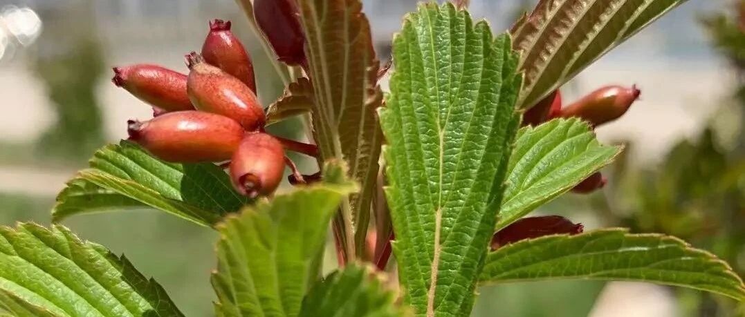 我们只能把握今天