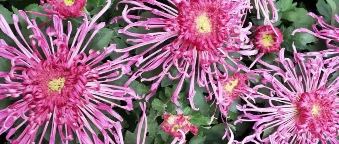 唯一的办法是学习