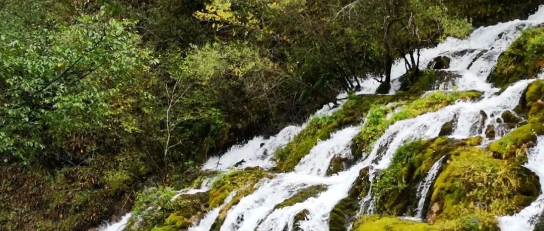 让自己的灵魂平安