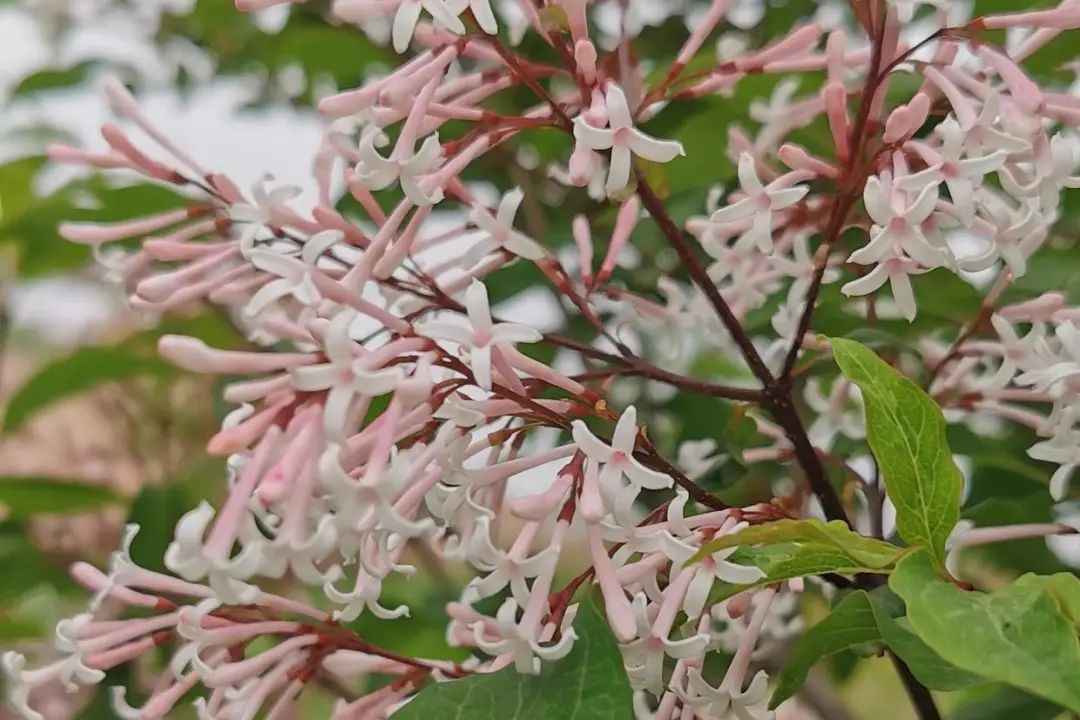 思考體悟生命真諦 職場 第3張