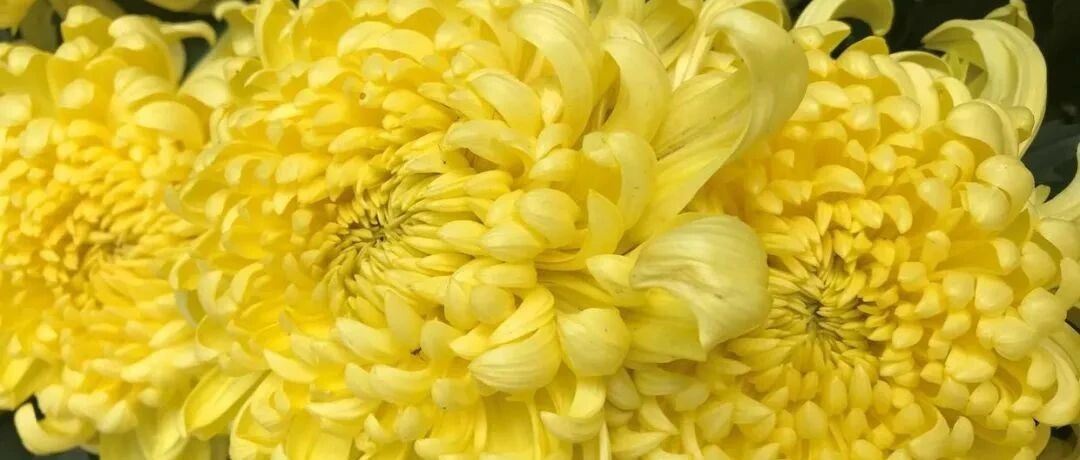 其实再也见不到了