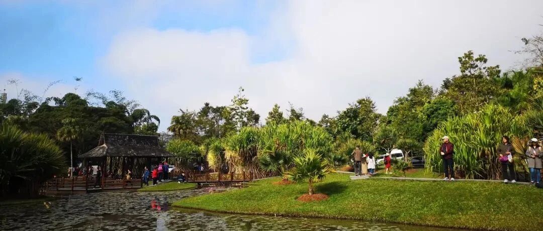 你拥有多少财富