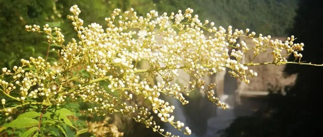 惟善自持者两得之