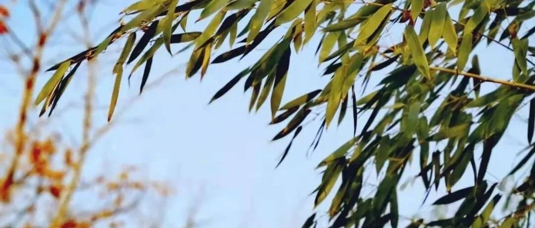 培养自己的大智慧