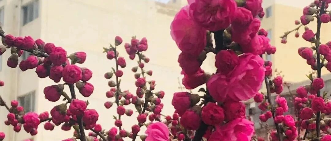 不要试图改变别人