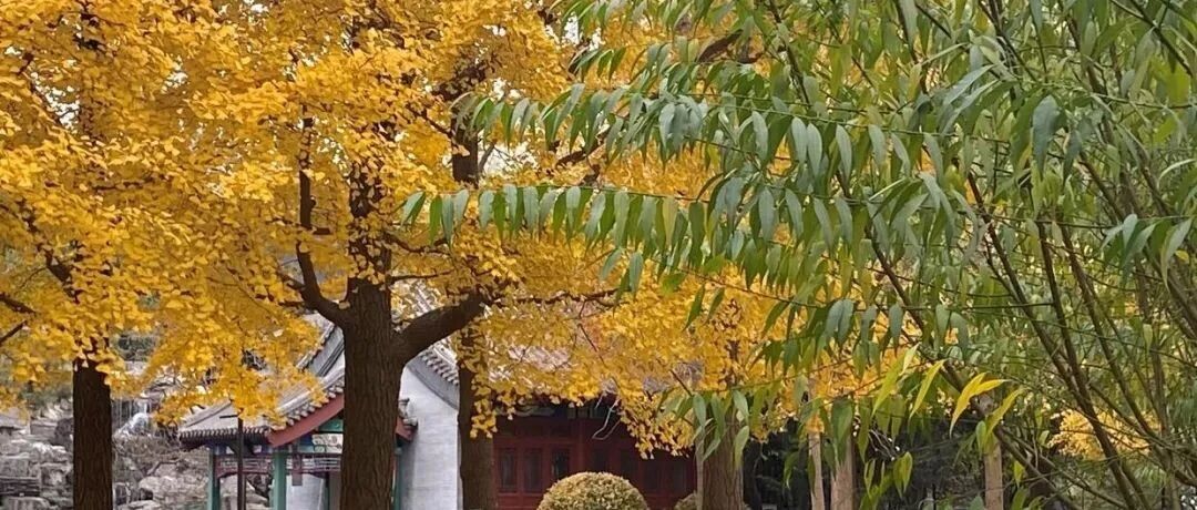 该赚的钱还是要赚