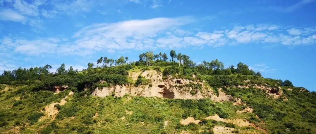 以服务苍生为己任