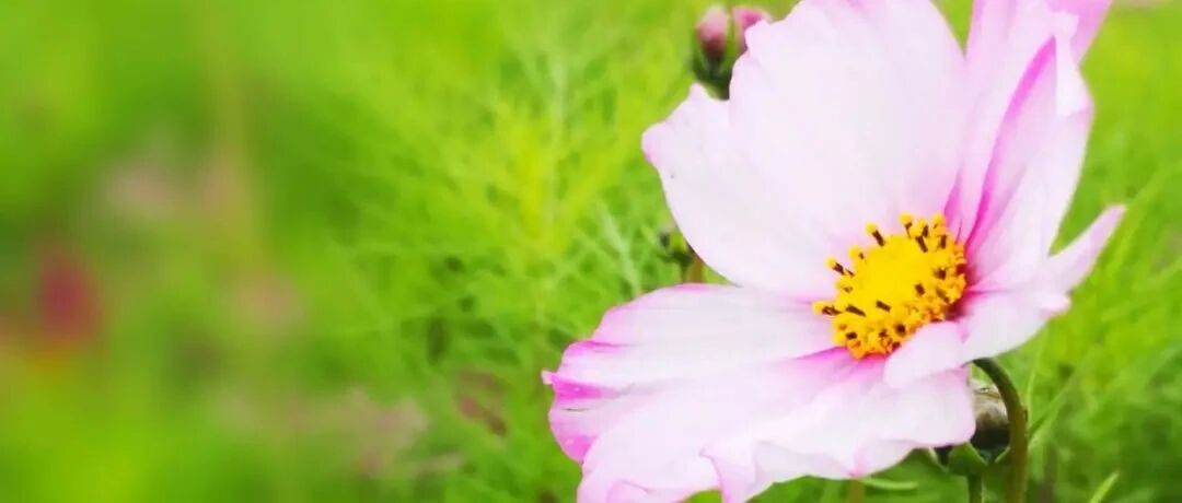 人生中最大的智慧