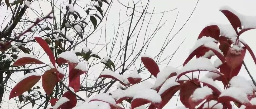 理智和欲望的界限