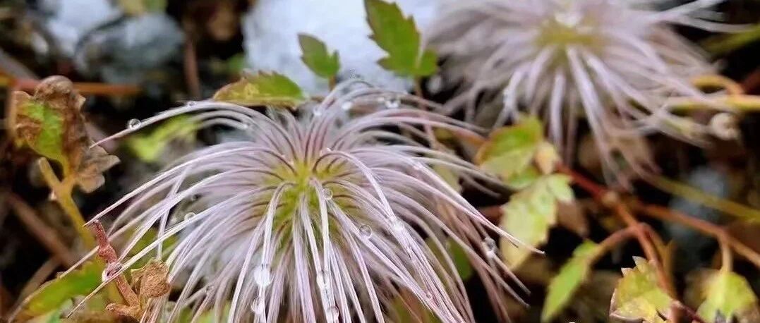 你有别人所没有的