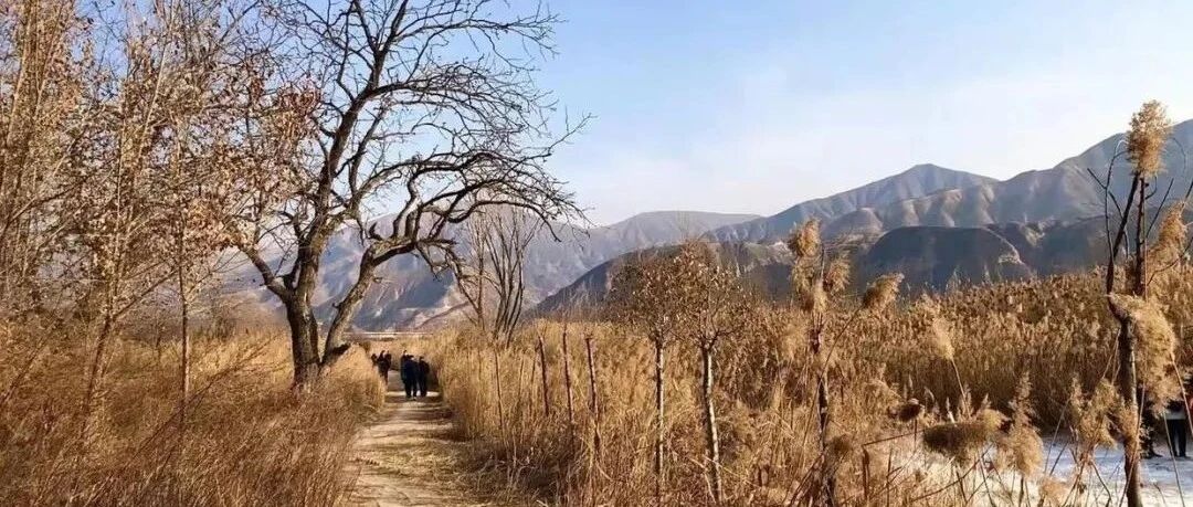 要为无知付出代价