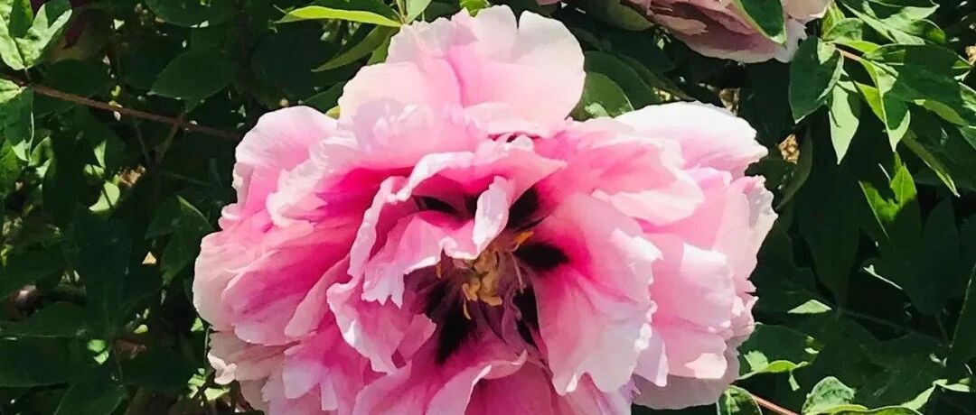 人不会被困难阻碍