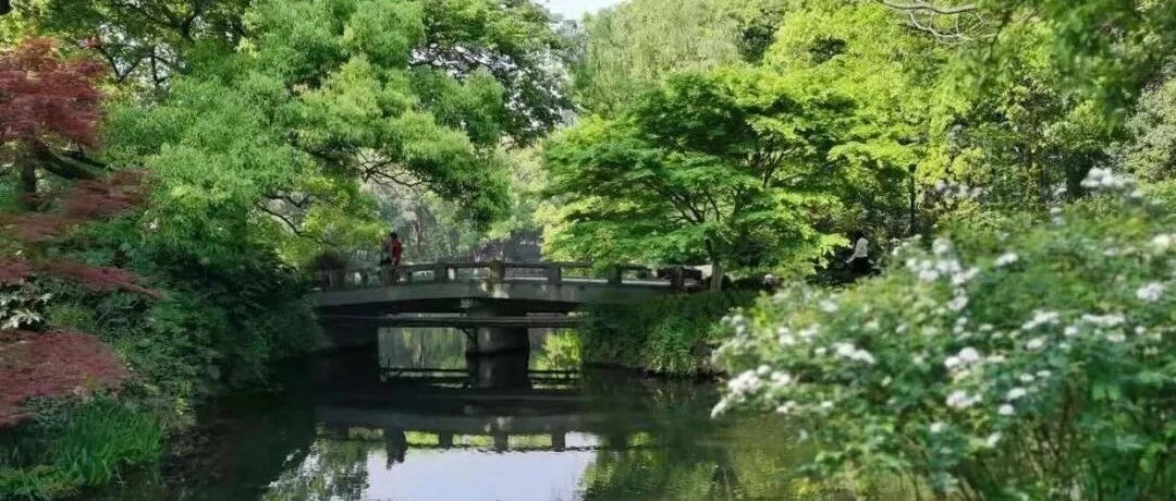 听没有听过的声音