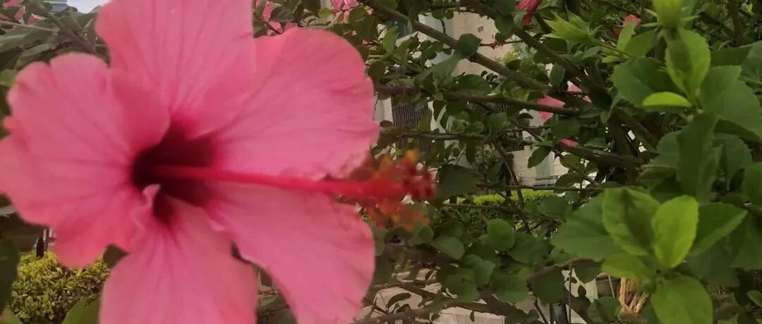 保护自己的好方法