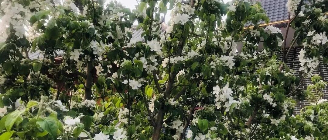 人生中呈现的际遇