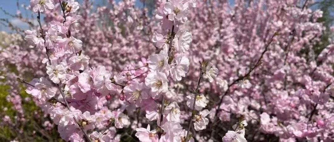 遇到问题不要急躁