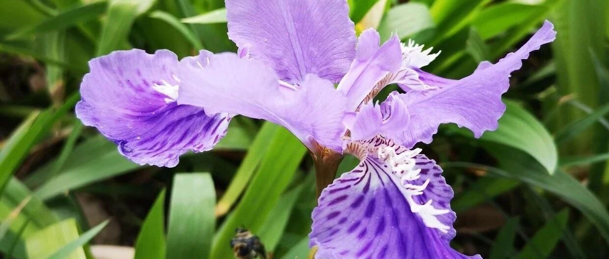 做出骄人的成绩来