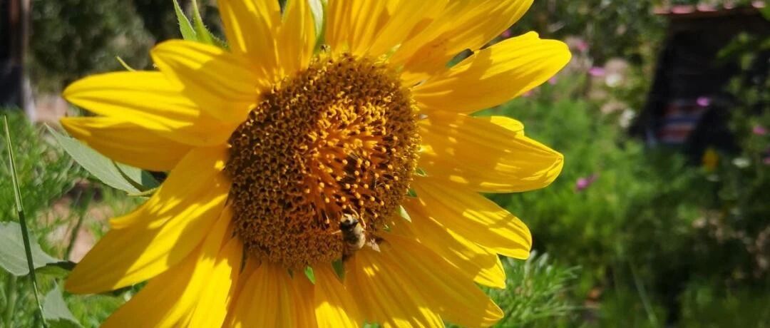 复杂未必有好结果