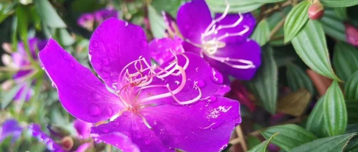 给自己最好的归宿