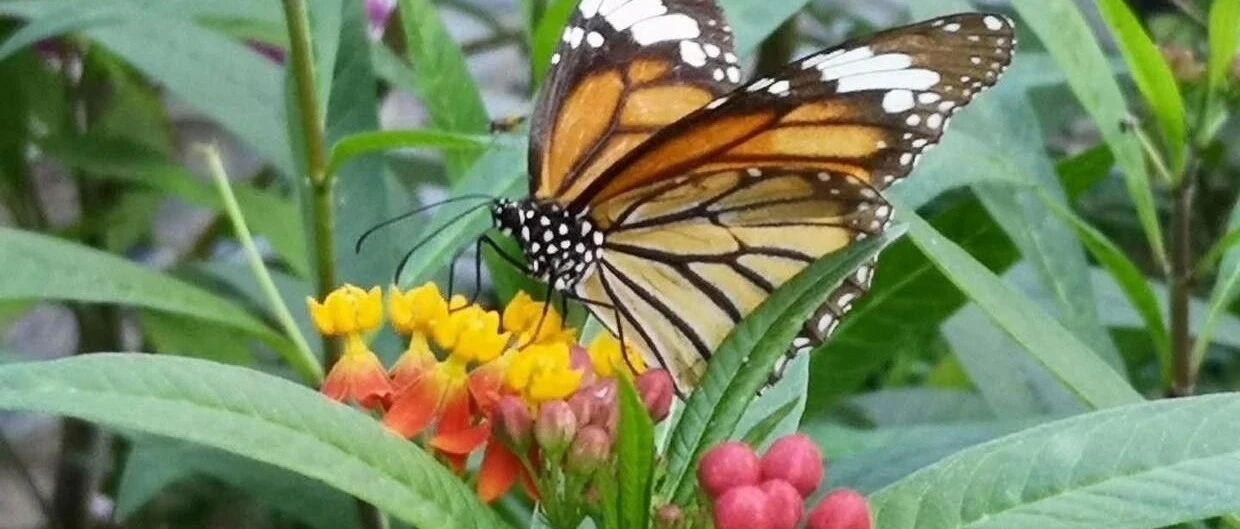 不做忘恩负义之人