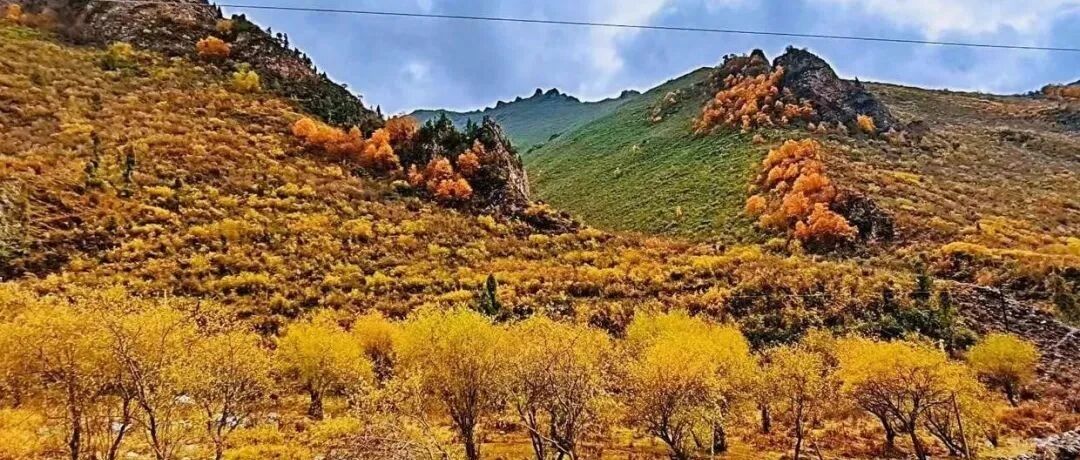 家家有本难念的经