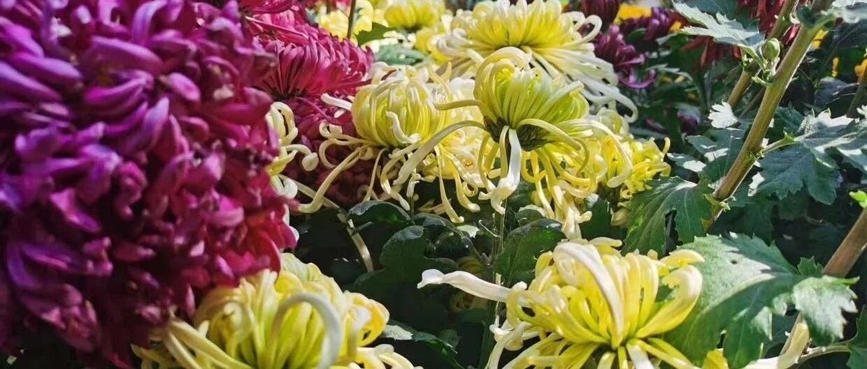 最终都是一场游戏