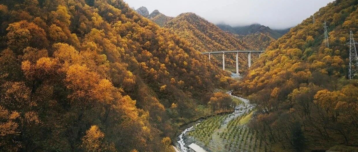 人与人之间的鸿沟