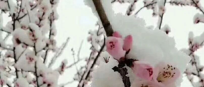 人生就像旅行一样