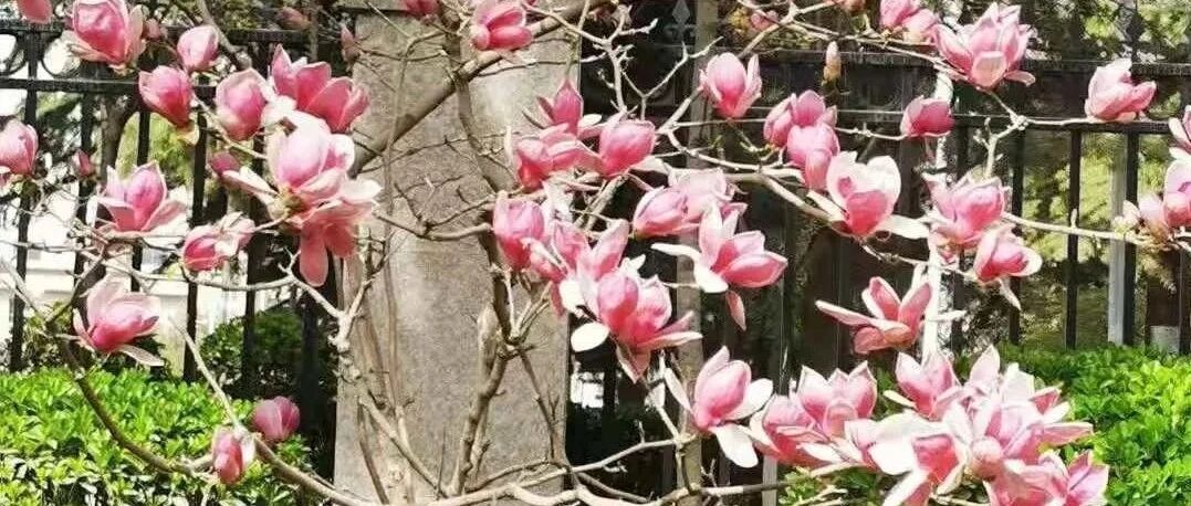 只能守好自己的心