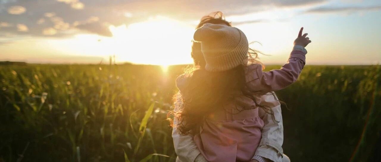 杨澜再爆料教育秘籍：主动道歉的父母，赢得了孩子的心