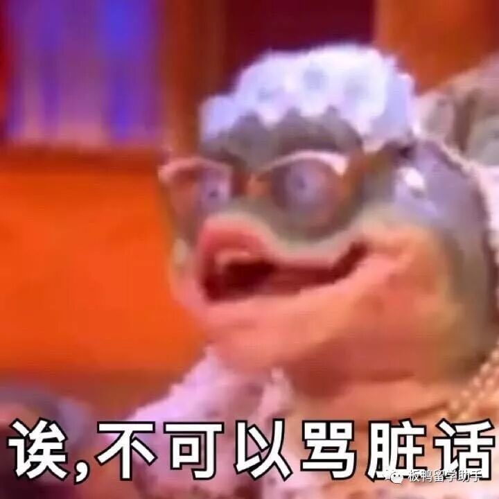 油管主播的生活2_油管主播的生活时尚版_油管主播的生活测评