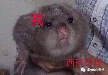 油管主播的生活测评_油管主播的生活2_油管主播的生活时尚版